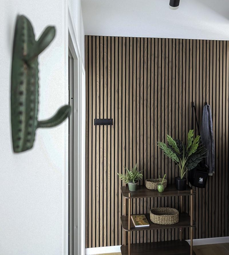 Apartment entrance, cactus coat hook